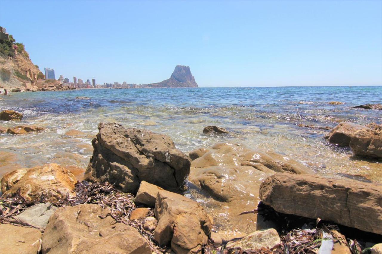 Acan0306 كاليبي المظهر الخارجي الصورة
